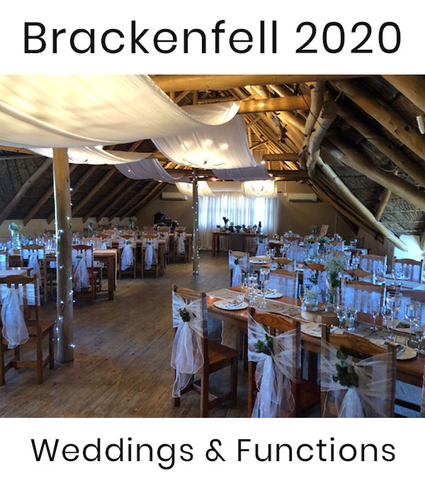 bridal shops in brackenfell